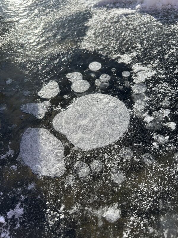 20240209_173007663_iOS