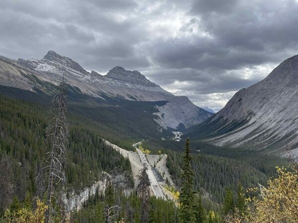 20250927_013645981_iOS