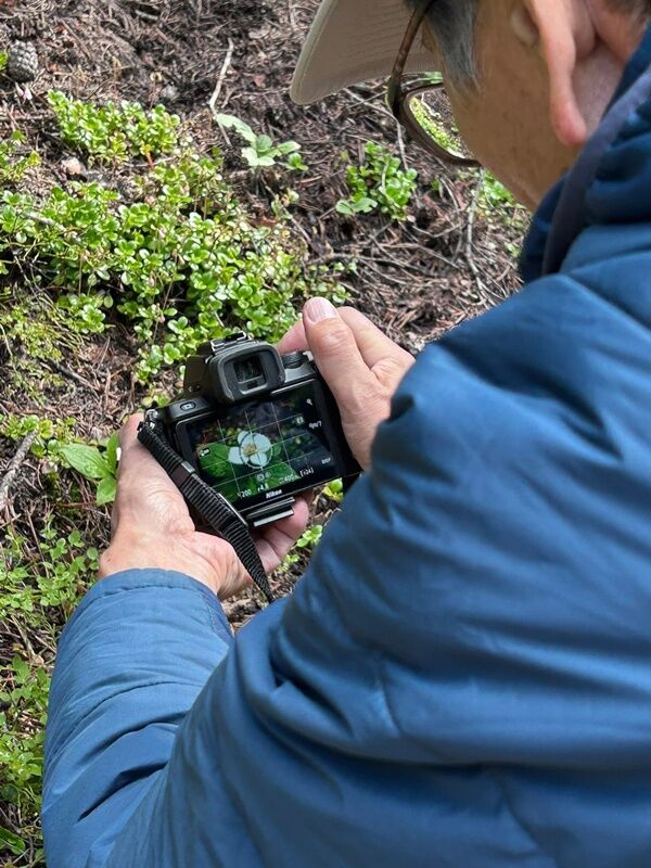 20250707_003010698_iOS