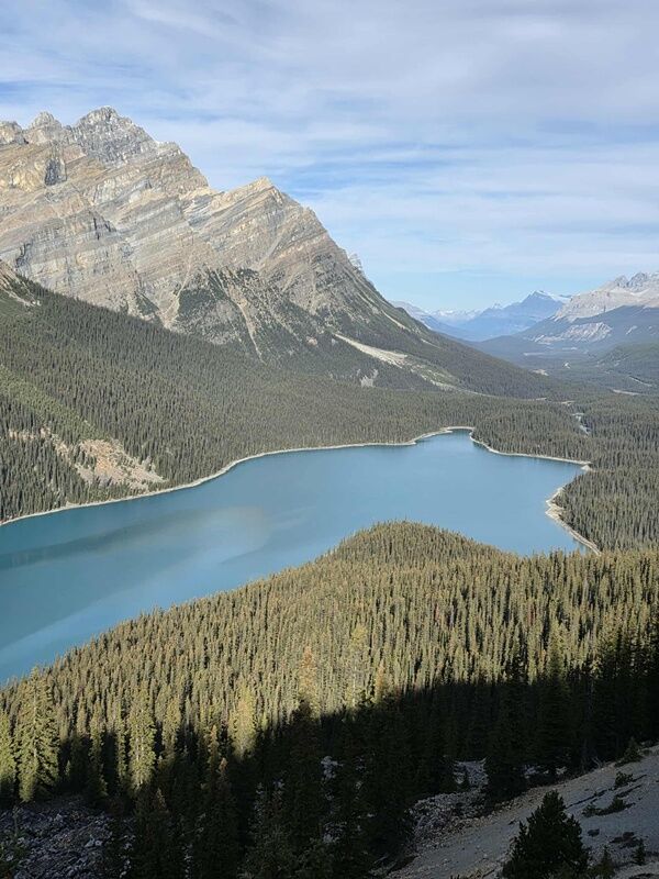 20251010_233830453_iOS