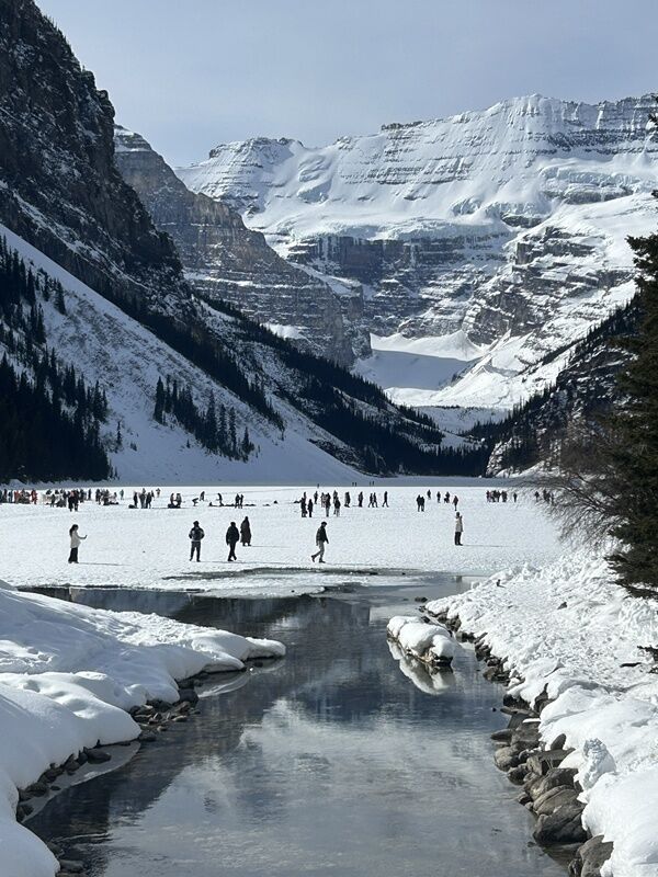 20250302_190639947_iOS