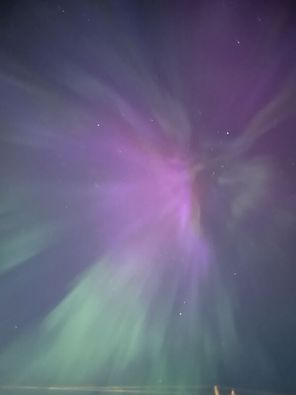 20240917_033049265_iOS