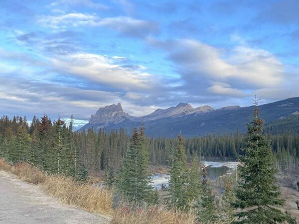 20251007_005814099_iOS