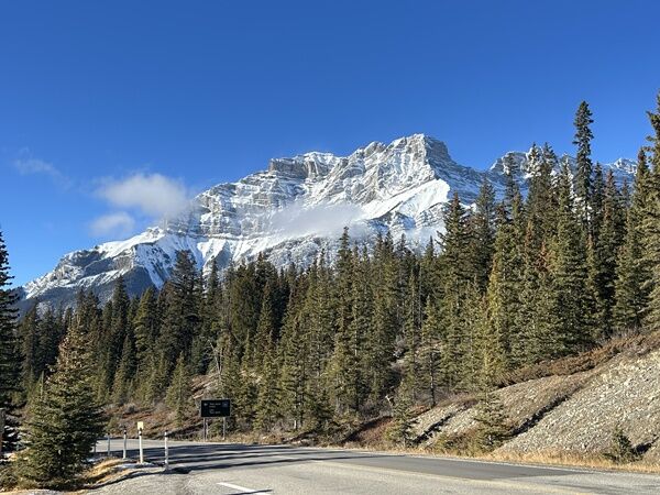 20251120_183754142_iOS