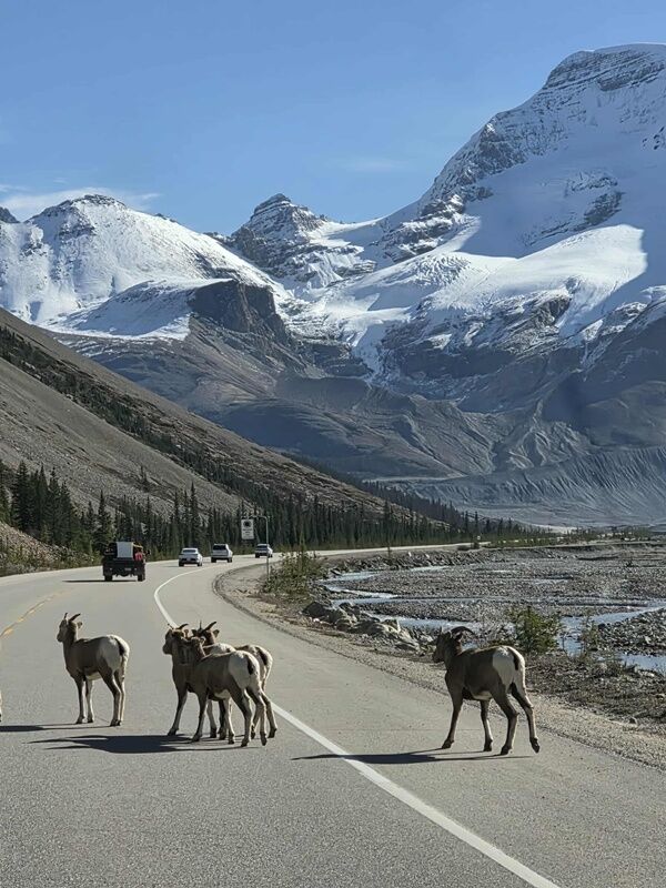 20251010_233830349_iOS