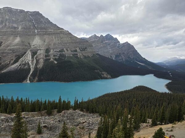 20251011_205422270_iOS