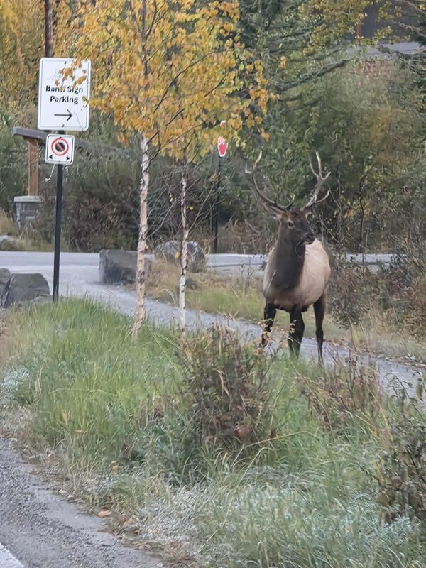 20251010_233830779_iOS