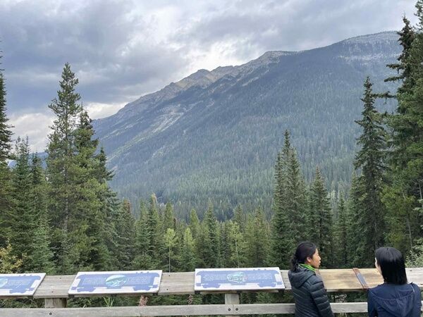 20250921_231332586_iOS