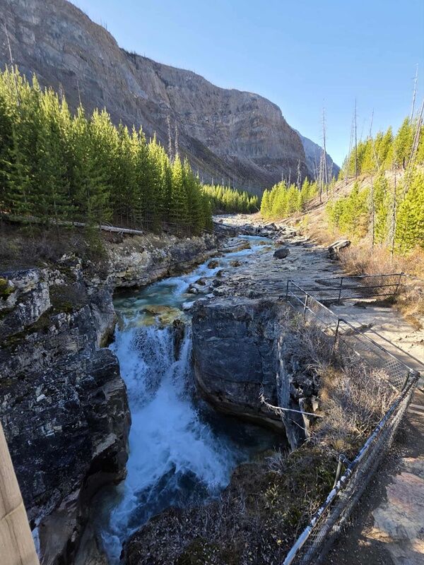 20251009_231829680_iOS