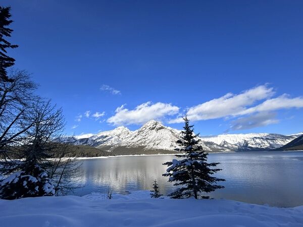 20251223_004217882_iOS