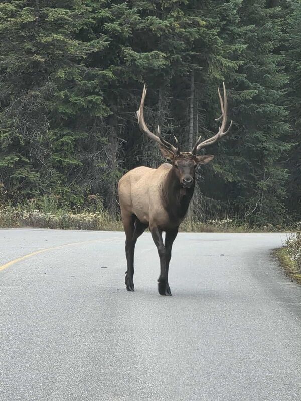 20251006_221043252_iOS