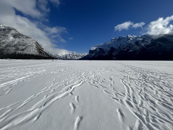 20240209_183840642_iOS