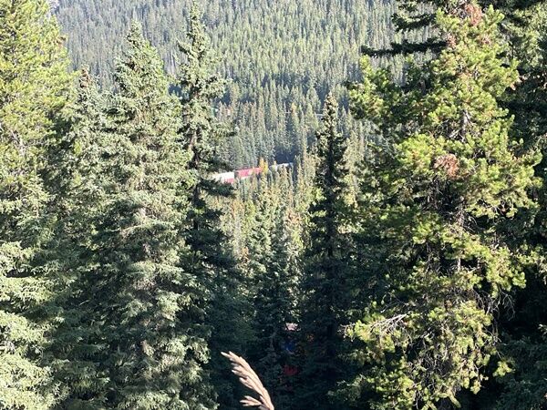 20250918_235611322_iOS