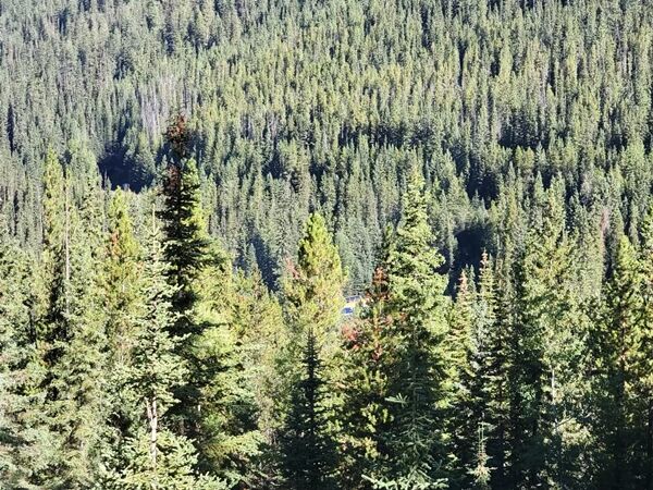 20240918_165621000_iOS