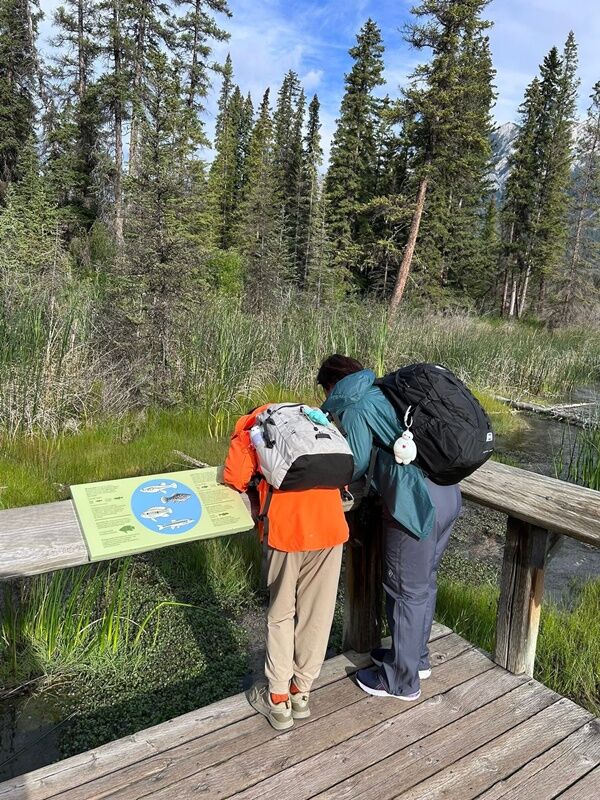 20250724_231337881_iOS