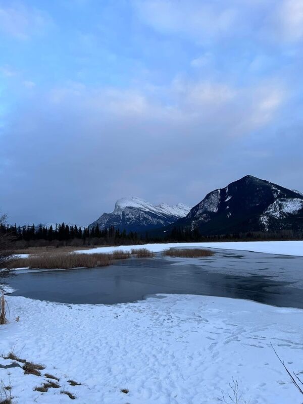 20241230_011449514_iOS