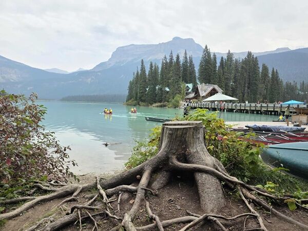 20250915_000134579_iOS