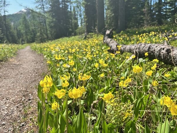 20240709_181735867_iOS