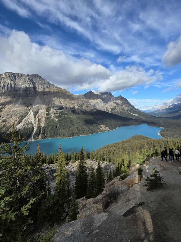 20251007_205903959_iOS