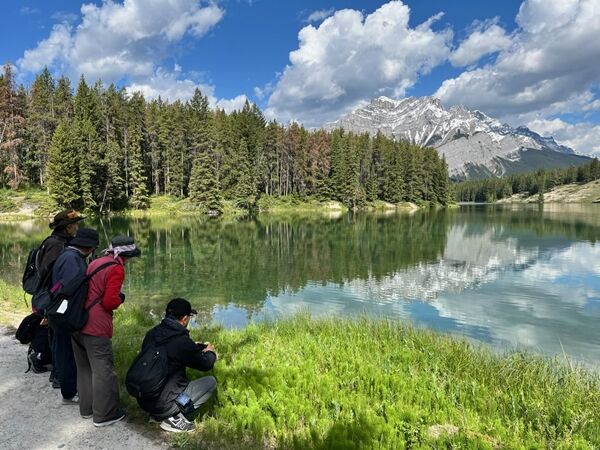 20240623_161818856_iOS