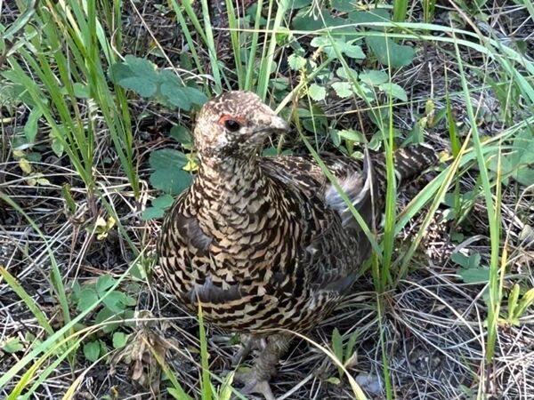 20230823_172322625_iOS