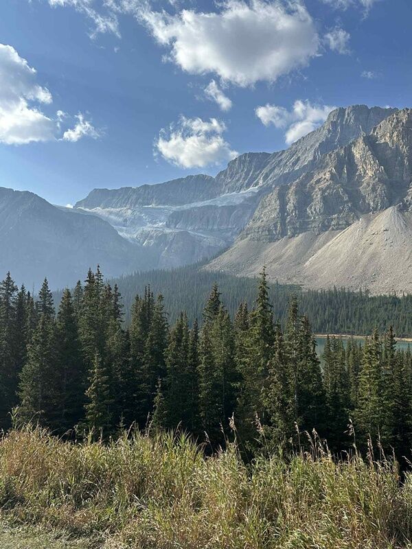 20250926_022729684_iOS