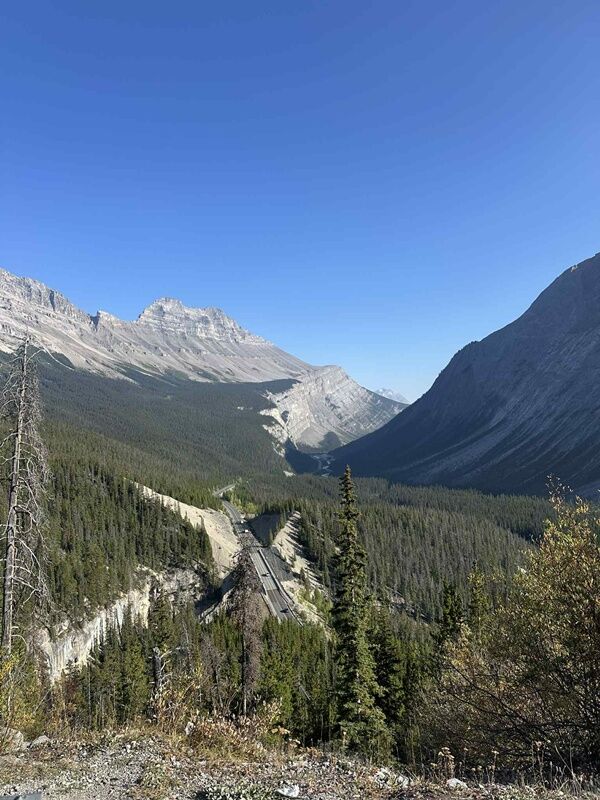 20250917_022534568_iOS