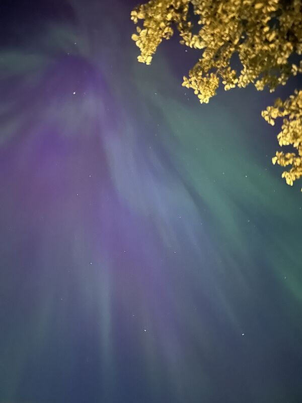 20240917_033222849_iOS