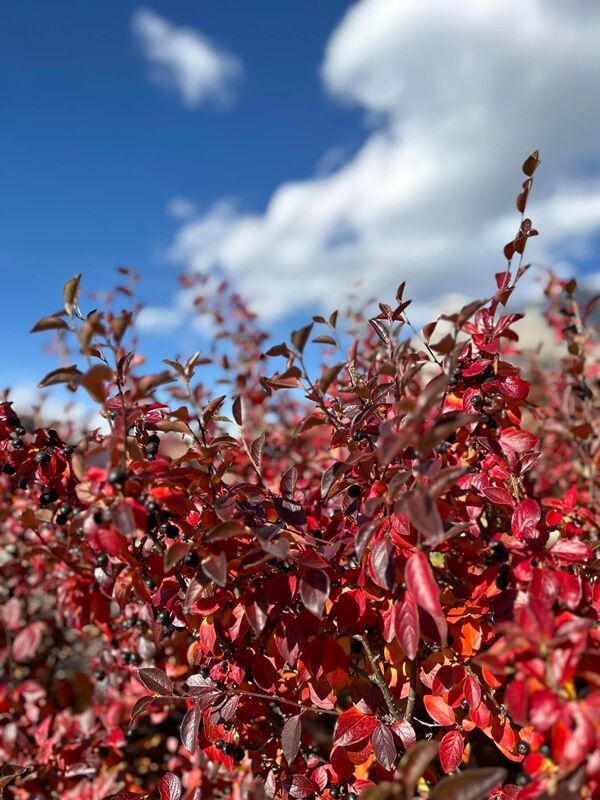 20241015_021349060_iOS