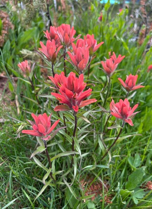 20250707_003015806_iOS