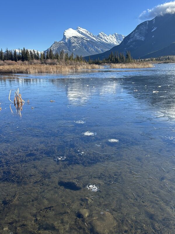 20251120_191400584_iOS