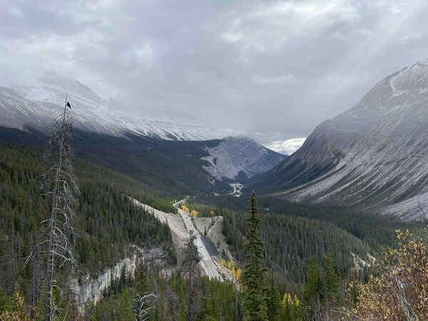 20251007_005814091_iOS