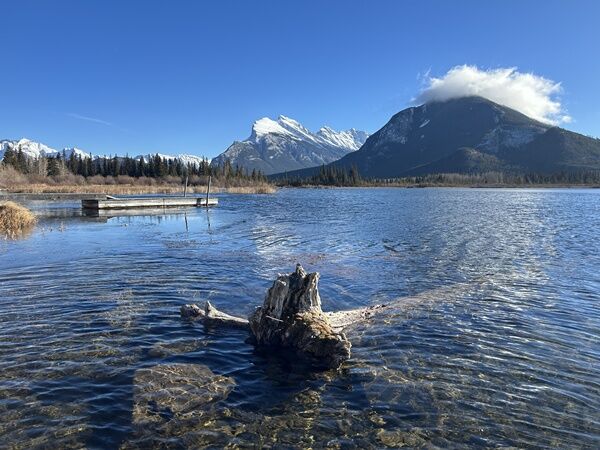 20251120_191131591_iOS