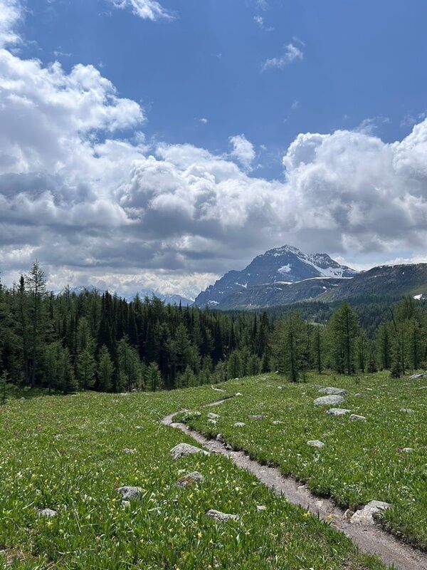 20250624_030626518_iOS