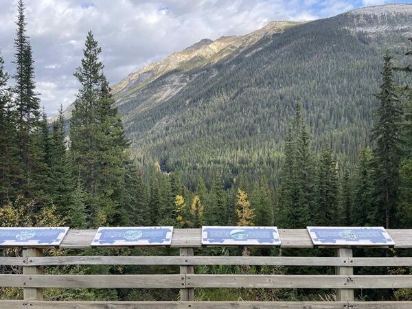 20251008_223932696_iOS