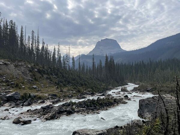 20250916_021051471_iOS