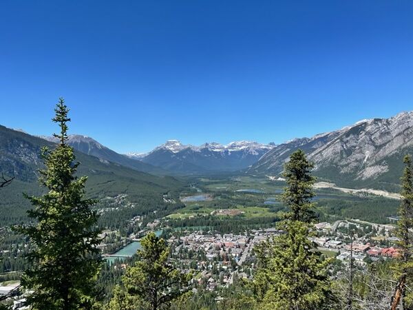 20240707_174600997_iOS