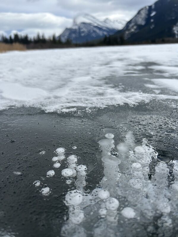 20250221_203040473_iOS