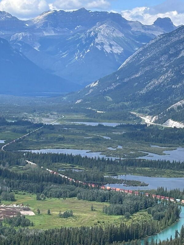 20250724_231411307_iOS