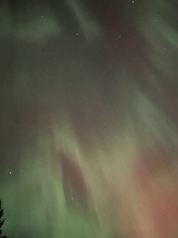 20241008_052026481_iOS