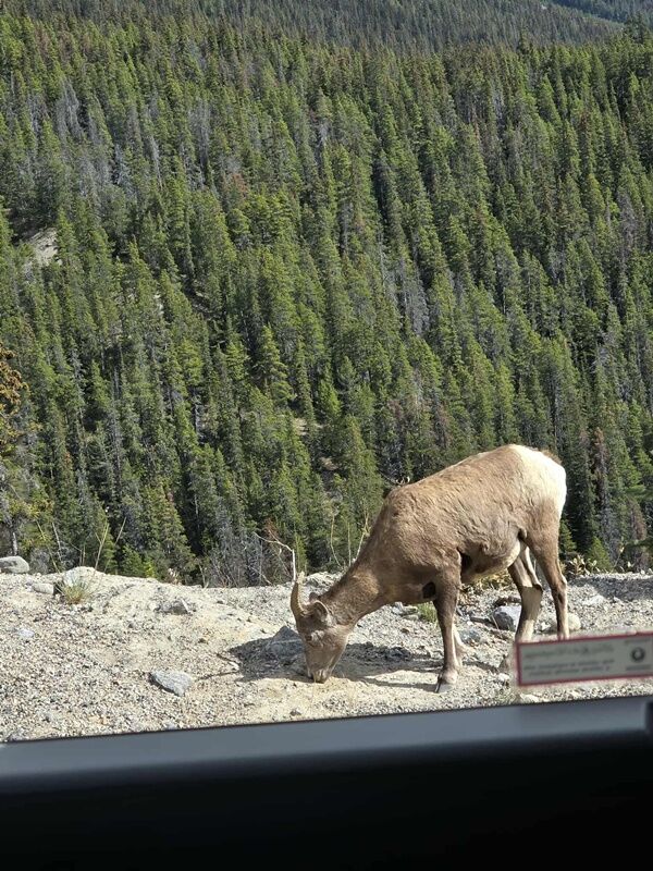 20250923_231238198_iOS