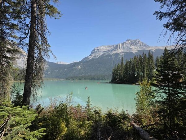 20250917_225150341_iOS