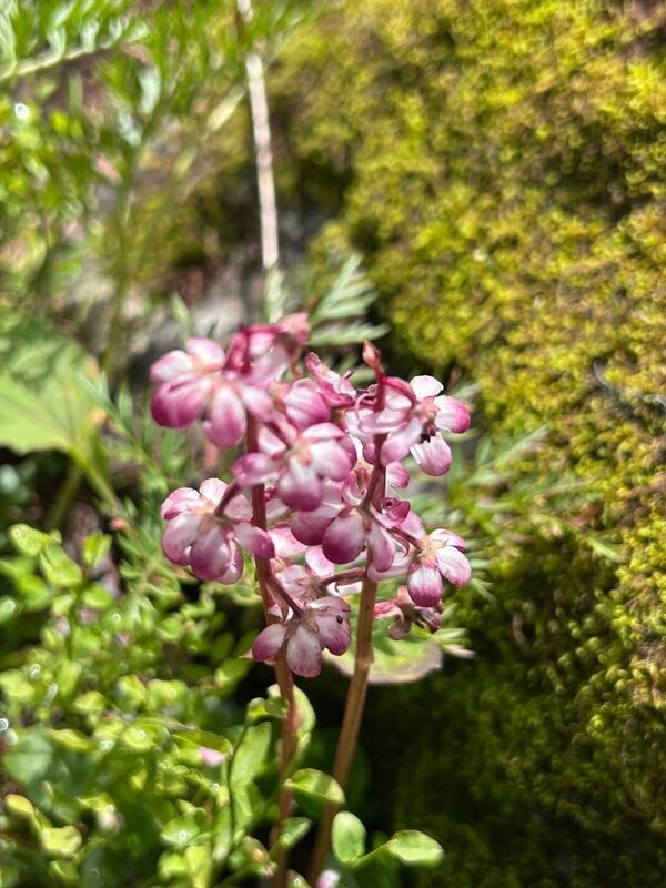 20250804_234225709_iOS