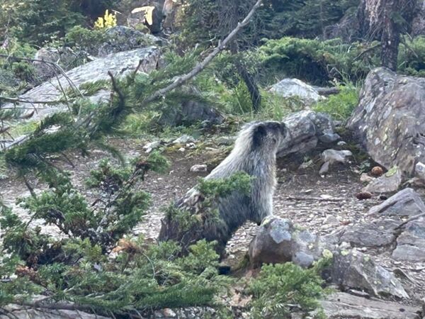 20230823_172700641_iOS