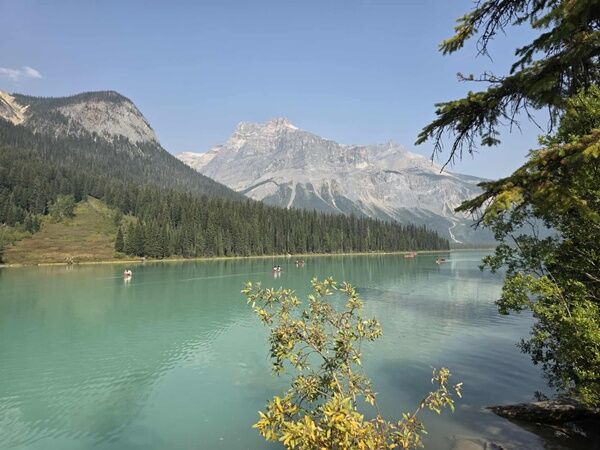 20250913_001346219_iOS