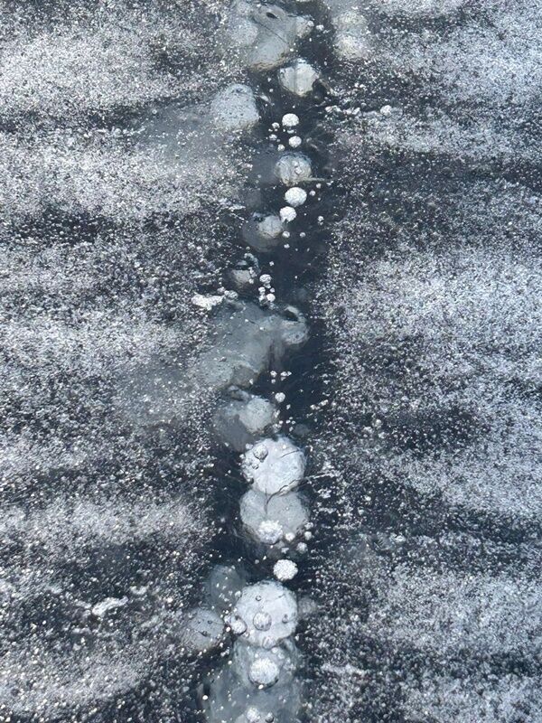 20250118_022633441_iOS