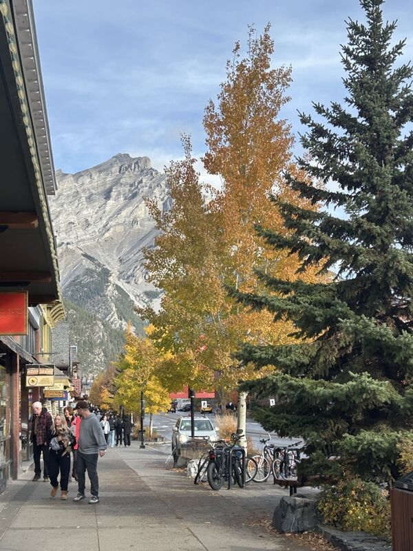 20241016_165836954_iOS