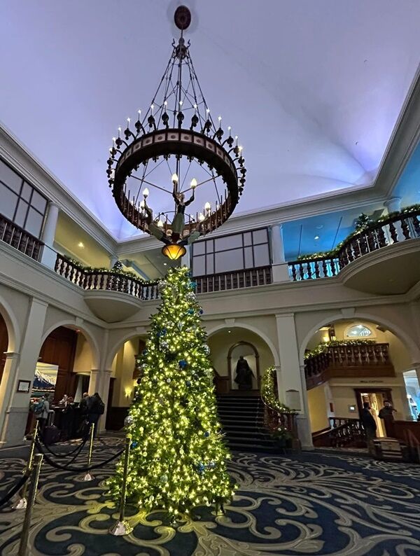 20241204_062156693_iOS