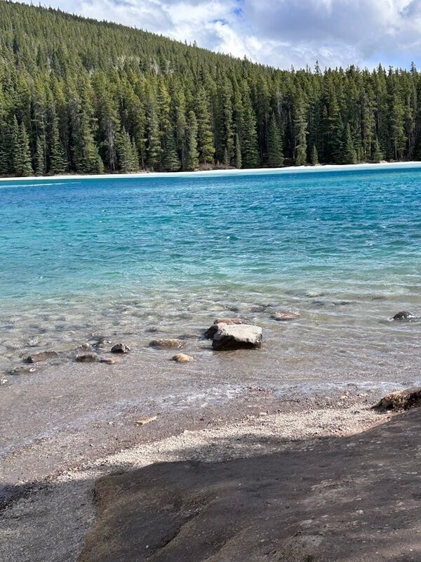 20250420_005917070_iOS