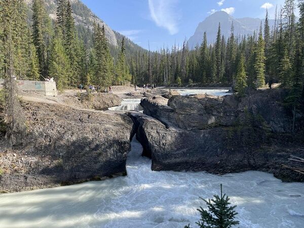 20250918_235611284_iOS